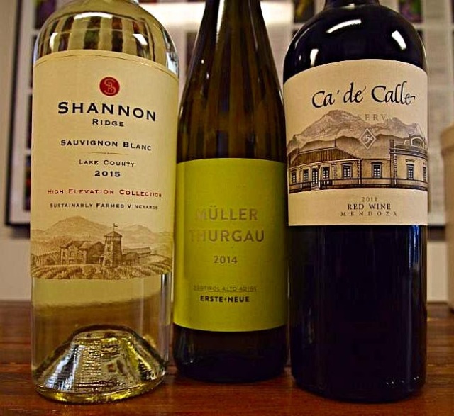 Weekly Wine Tasting, Shannon Ridge Sauvignon, Ca'deCalle, red wine, Erste-Meuer, white wine, wine lover, Bag and String Wine Merchants, Lakewood NY, cheers